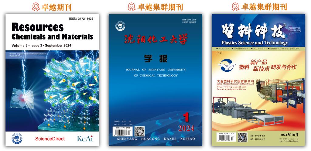 王树荣教授